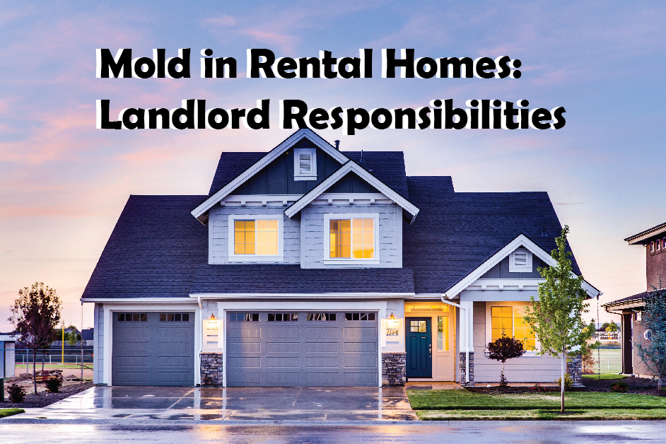 Mold in Rental Homes: Landlord Responsibilities